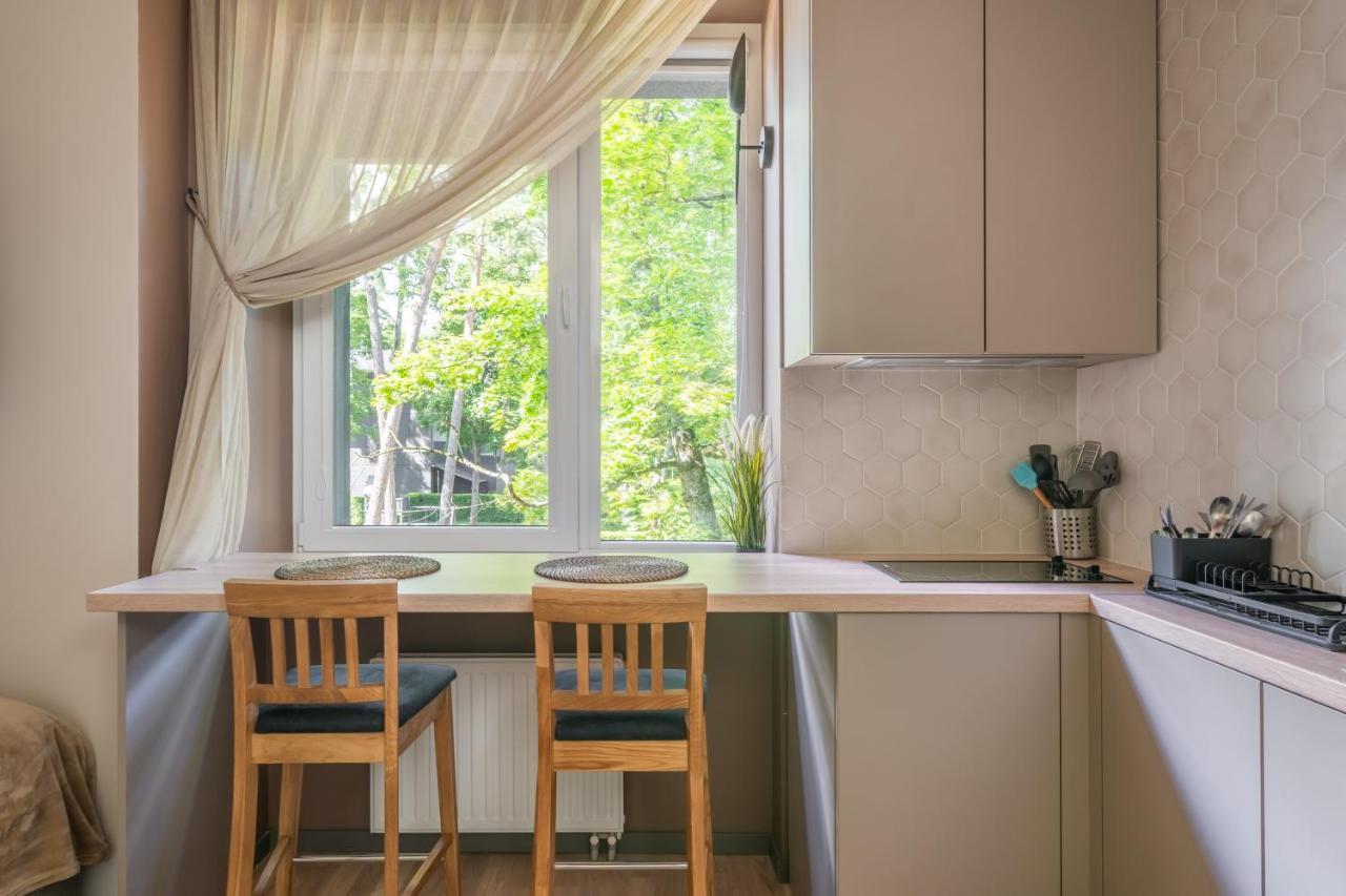 Dzintaru 48 Apartamento *